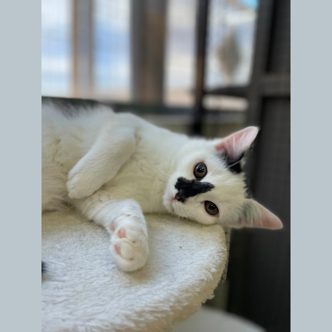 Photo of 🗼 Gilly 5927 🗼