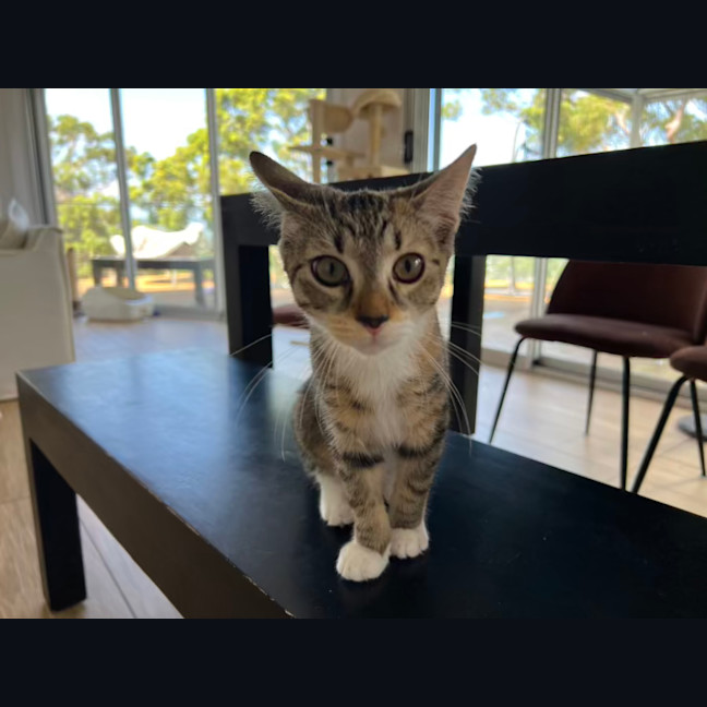 Photo of Molly