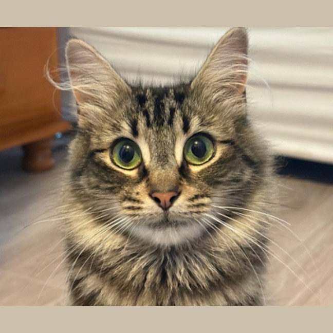 Photo of Butters