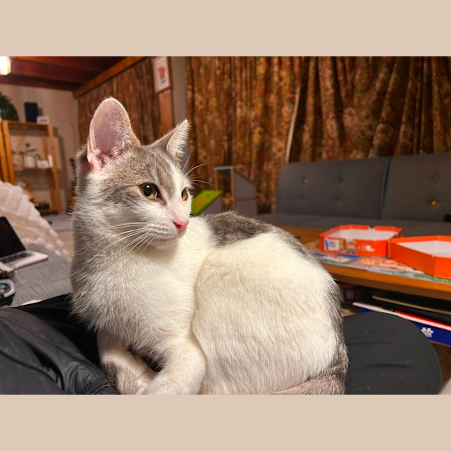 Photo of Billy