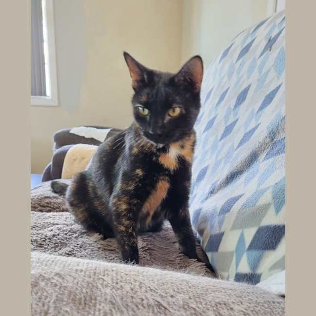 Photo of Mae