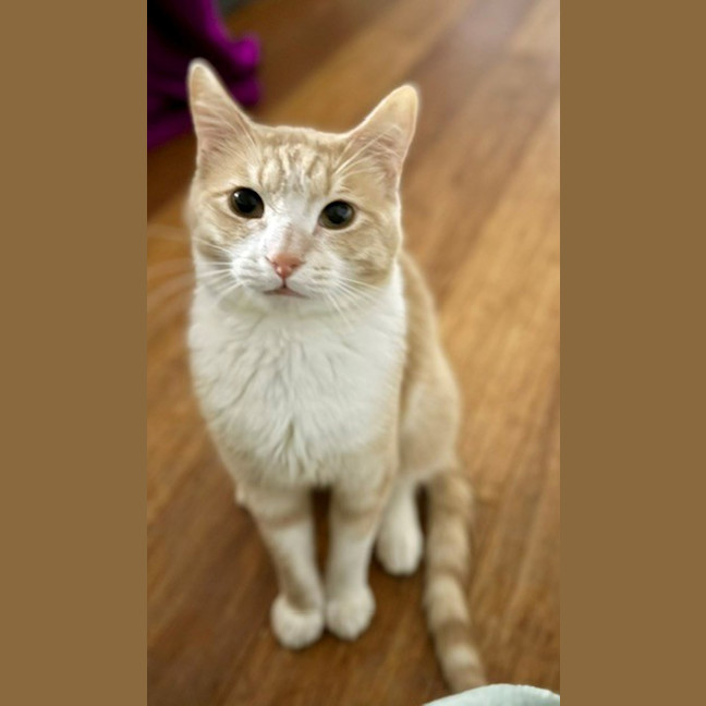 Photo of Milko