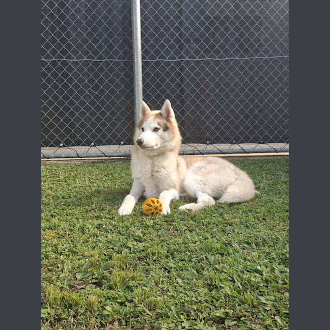 Photo of Zena