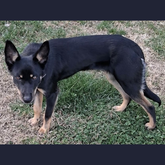 Photo of Susie