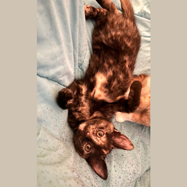 Photo of Mj Moo