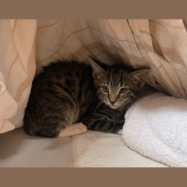 Photo of Ernie