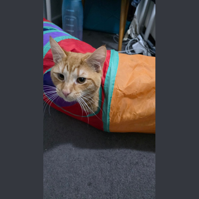 Photo of Alistair