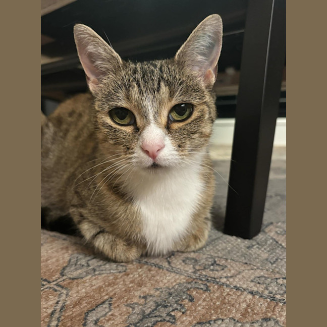 Photo of Trudy