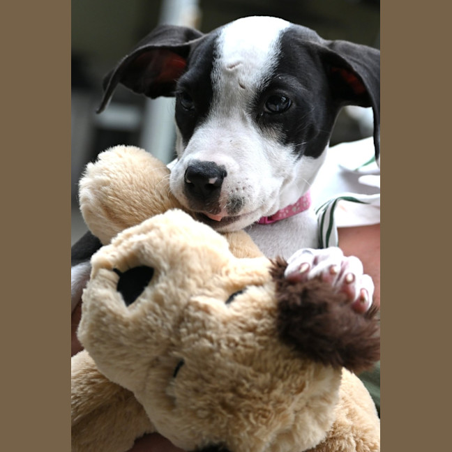 Photo of Cleo