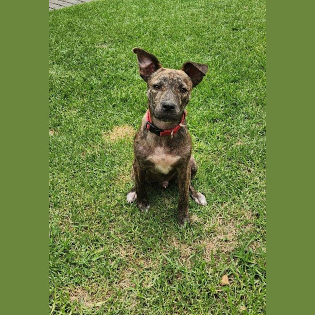 Photo of Benny Lozano