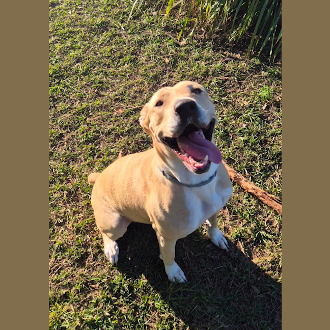 Photo of Narla (8063)