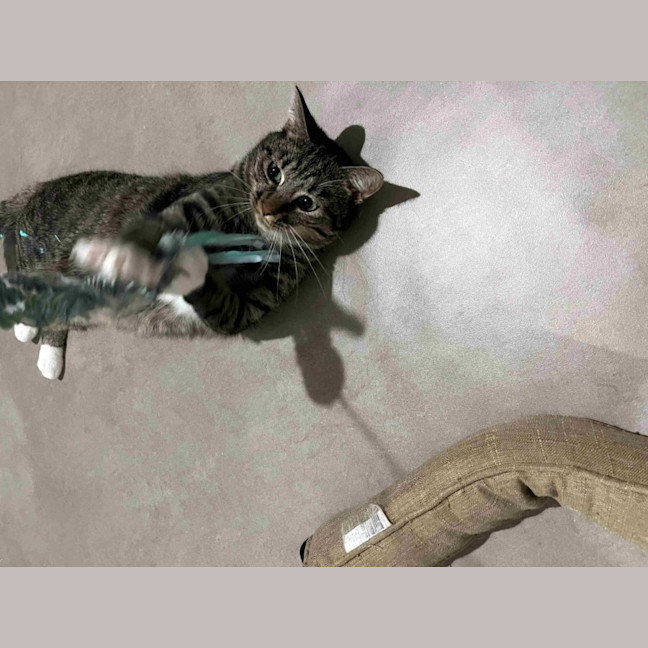 Photo of Timmy Sta012534