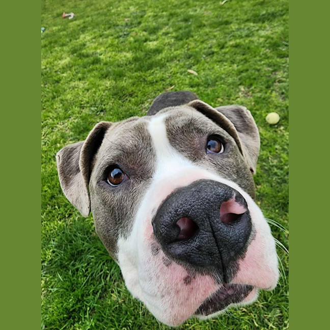 Photo of 🧱 Mason 6377 🧱