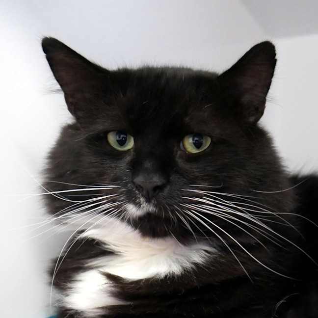 Photo of Kevin Rsta014375