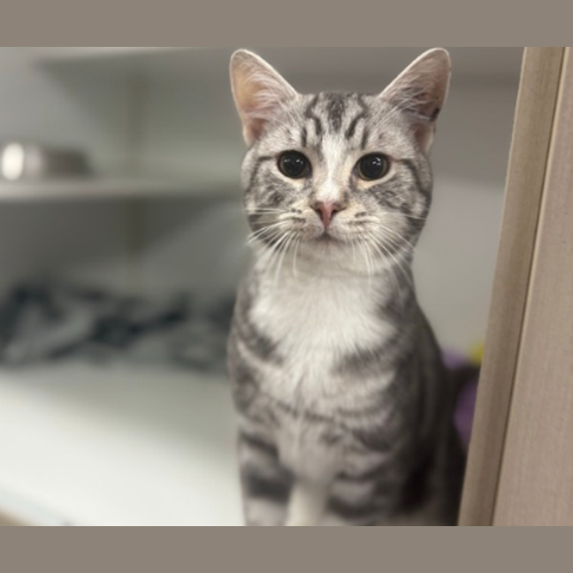 Photo of Mimi