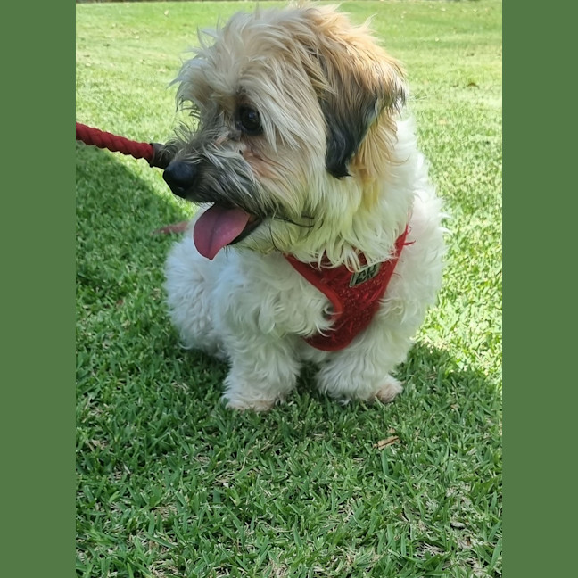 Photo of Leo