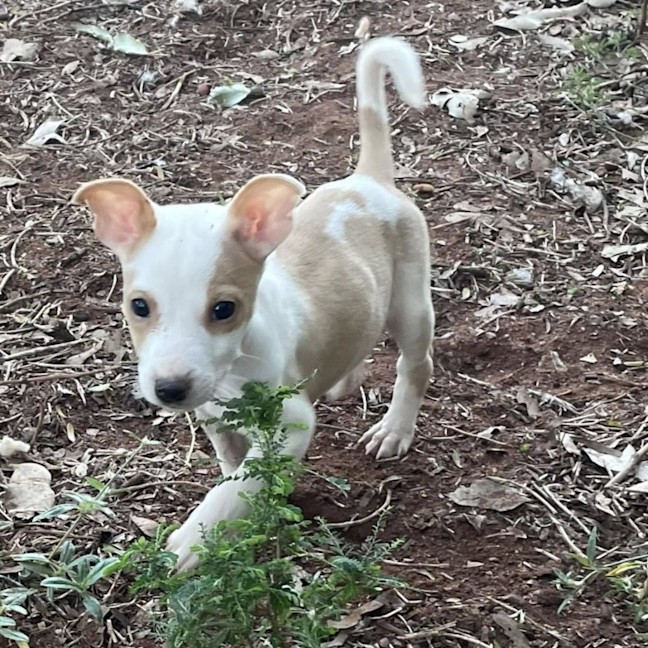Photo of Flora