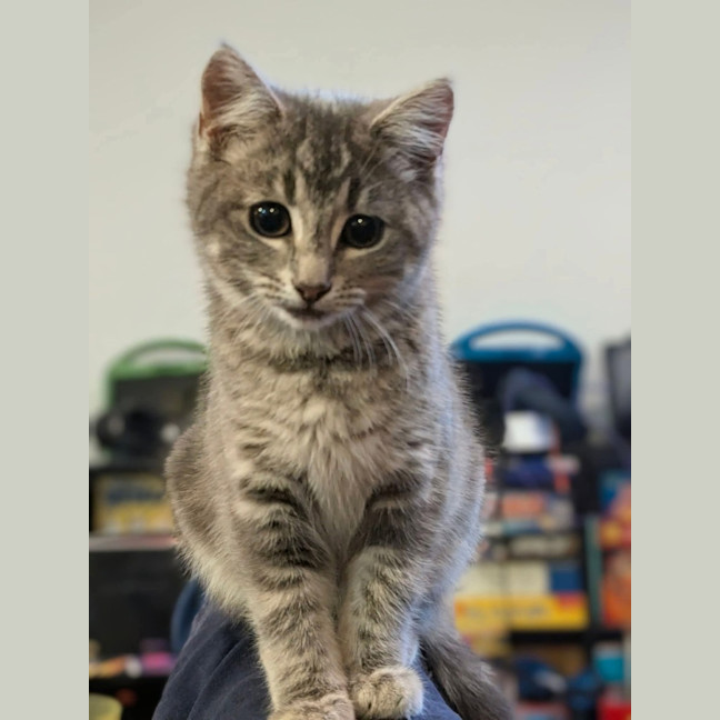 Photo of Sooty