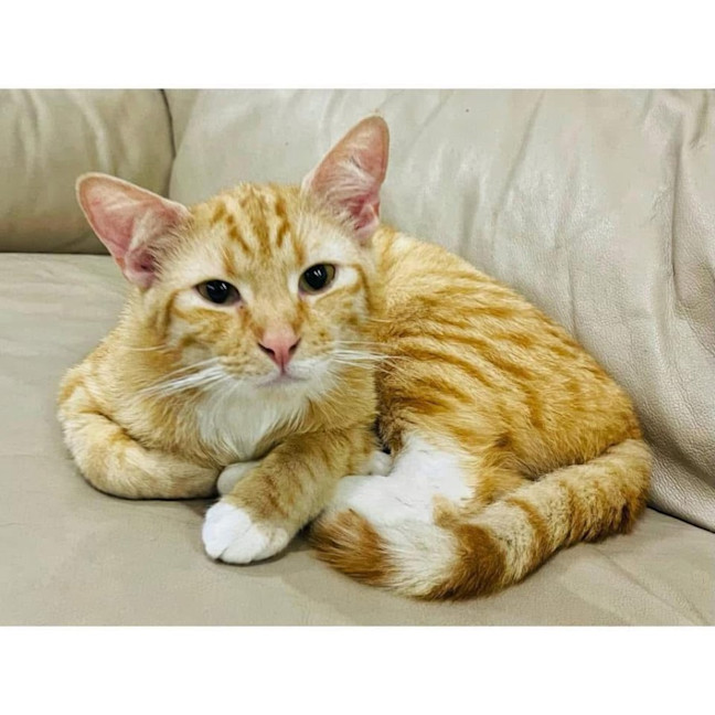 Photo of 11742   Meekah