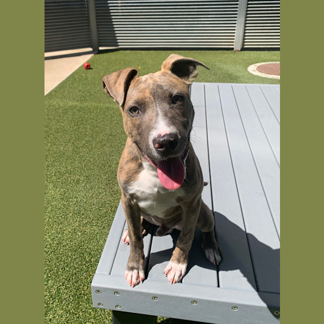 Photo of Kid (Now Tokyo)