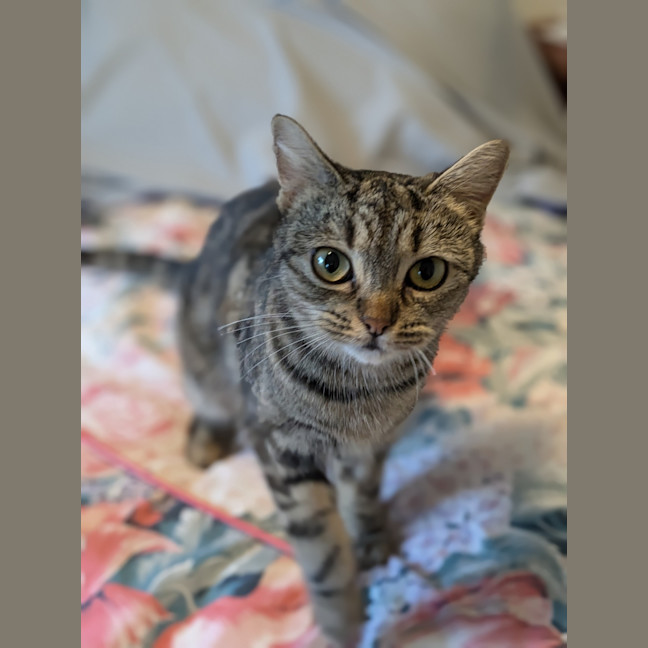 Photo of Mabel
