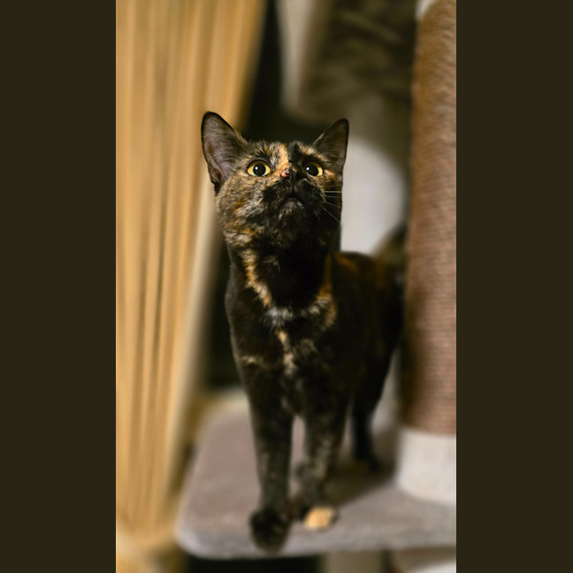 Photo of Hazel