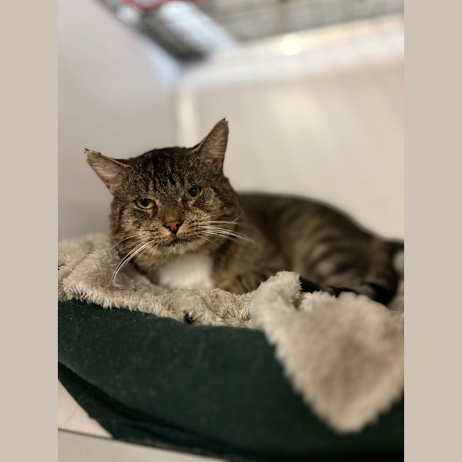 Photo of Lucius Klaassen