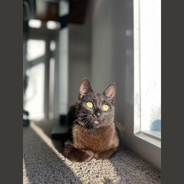 Photo of Otis