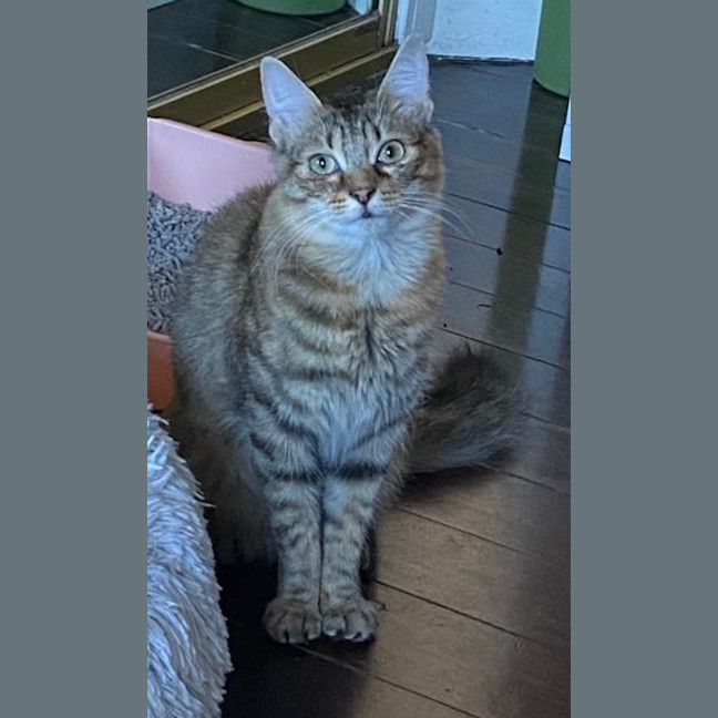 Photo of Macha