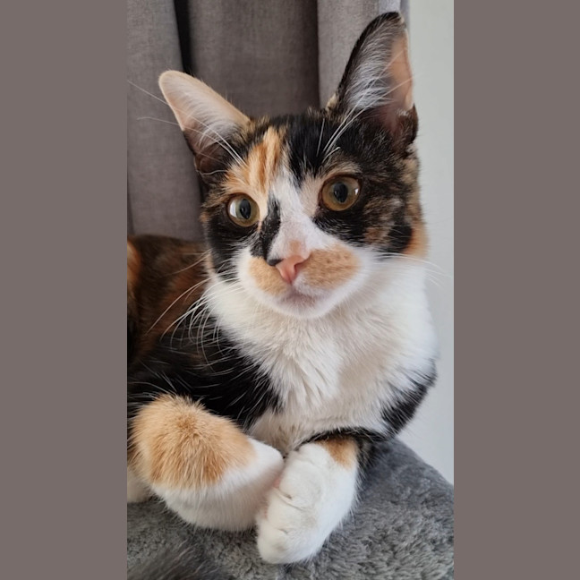 Photo of Zoe