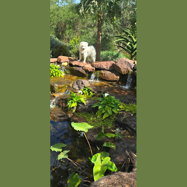 Photo of Yuki