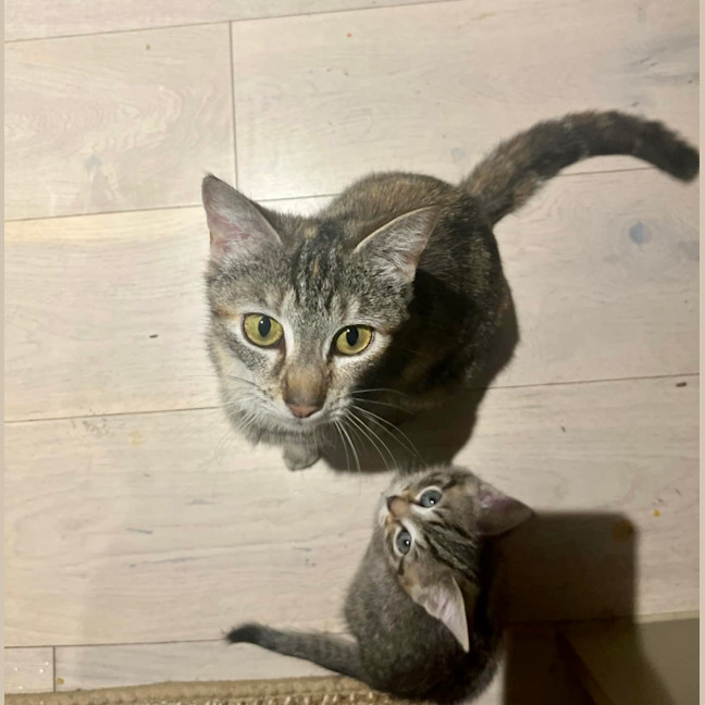 Photo of Mia 