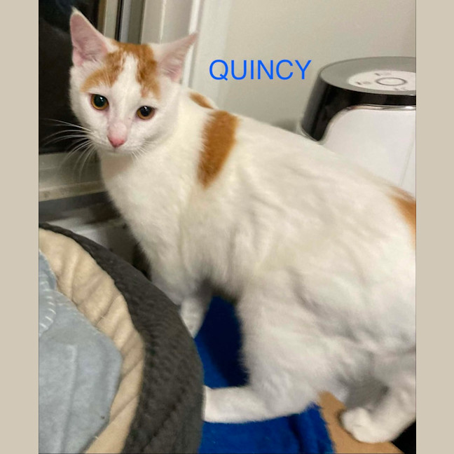 Photo of Quincey