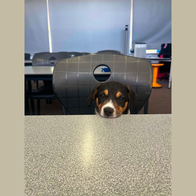 Photo of Ted 