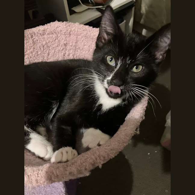 Photo of Bertie