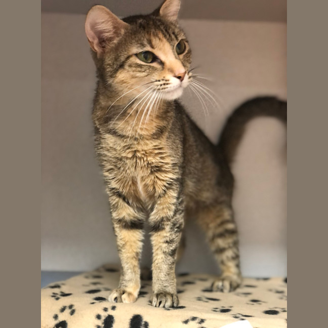 Photo of Lily
