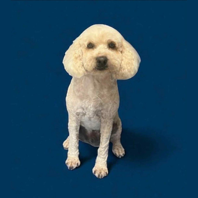 Photo of Cali And Theo