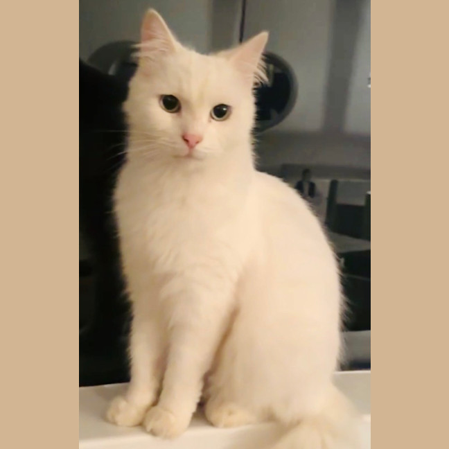 Photo of Max