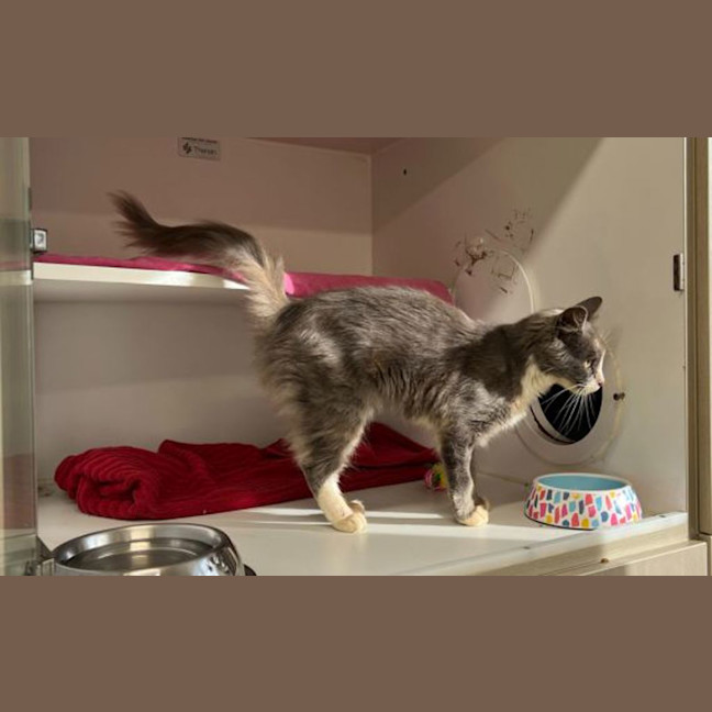 Photo of Freya