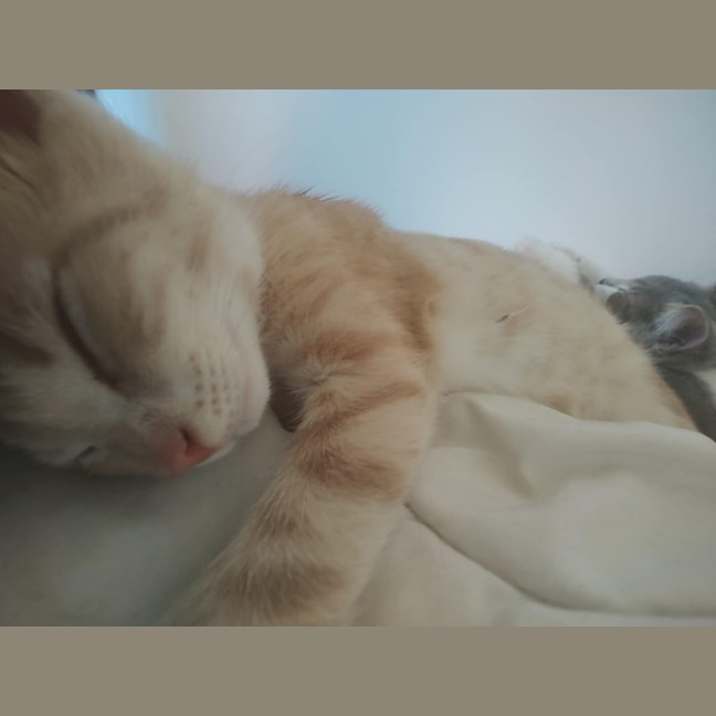 Photo of Wanda