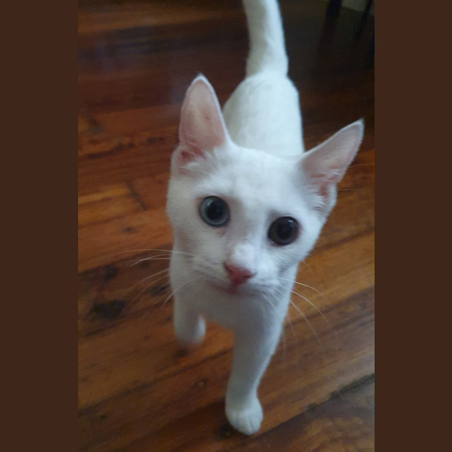 Photo of Elsa