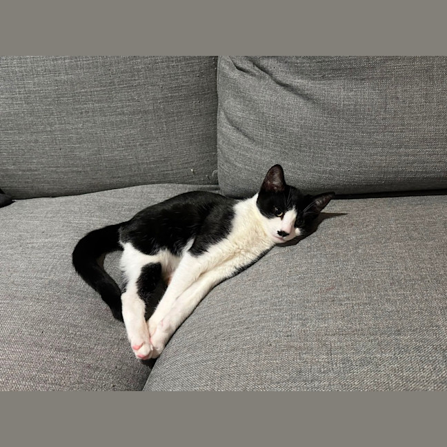 Photo of Zip