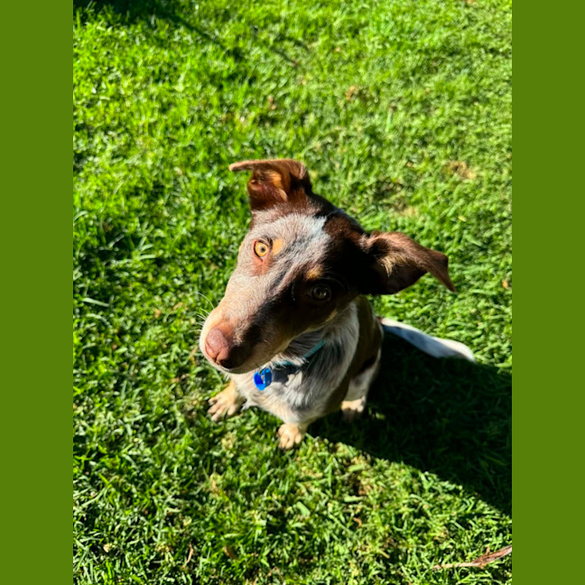 Photo of Cash
