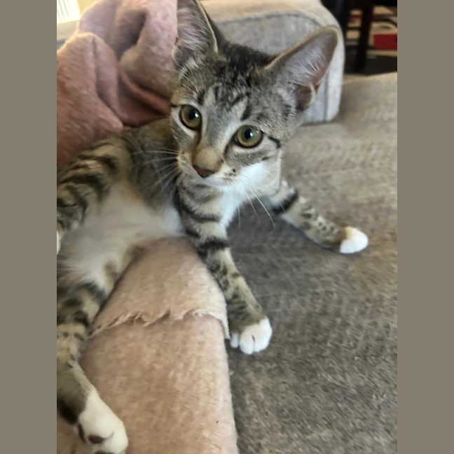 Photo of Bella