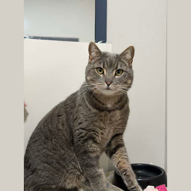 Photo of Clyde