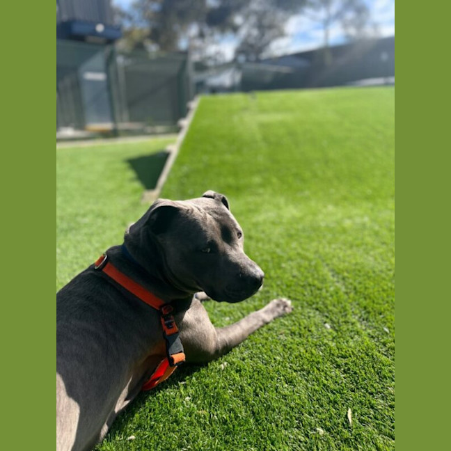 Photo of Lottie Nee Sky