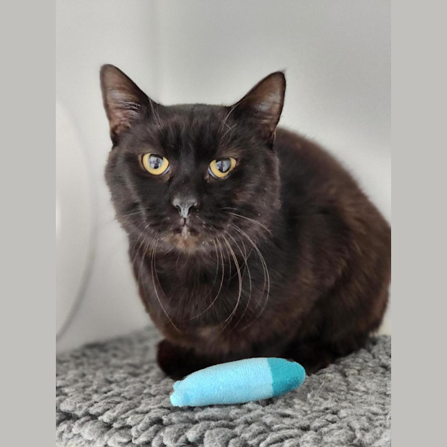 Photo of 😎 Felipe 6811 😎