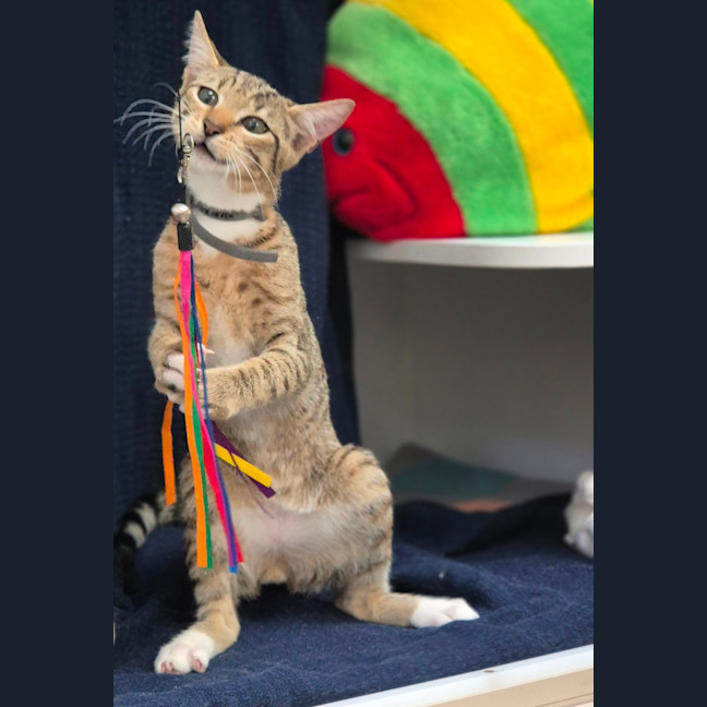 Photo of Molly (8980)