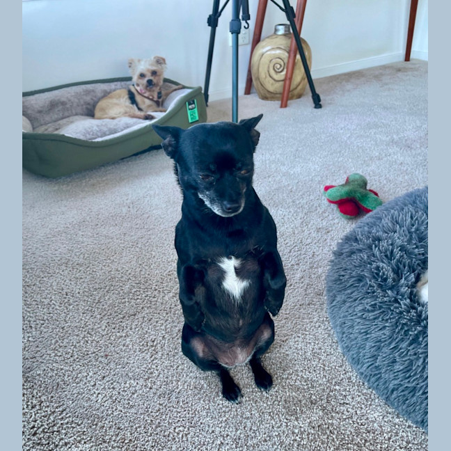 Photo of Milo & Angel