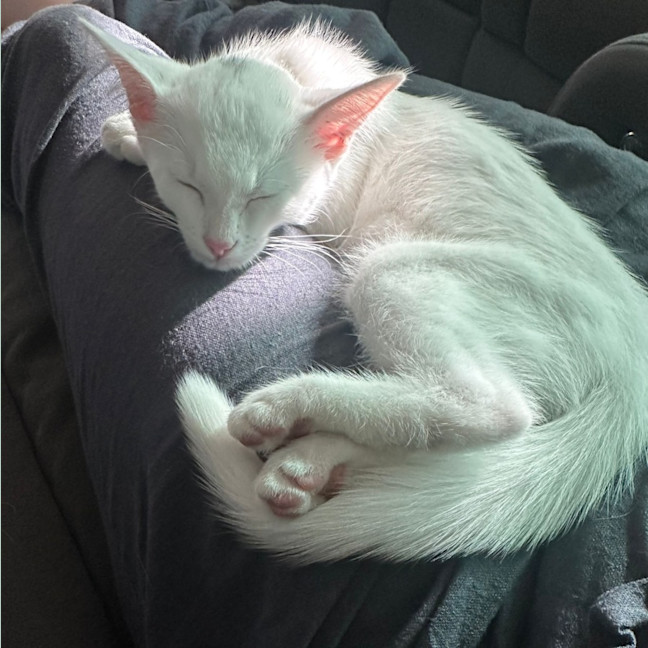 Photo of Candy